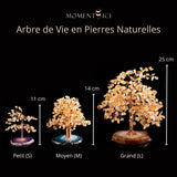 Arbre de Vie Citrine Agate pour Attirer Prospérité - Biloria