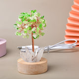 Arbre de Vie Lumineux Vitalité - Pierres Naturelles Feng Shui - Biloria