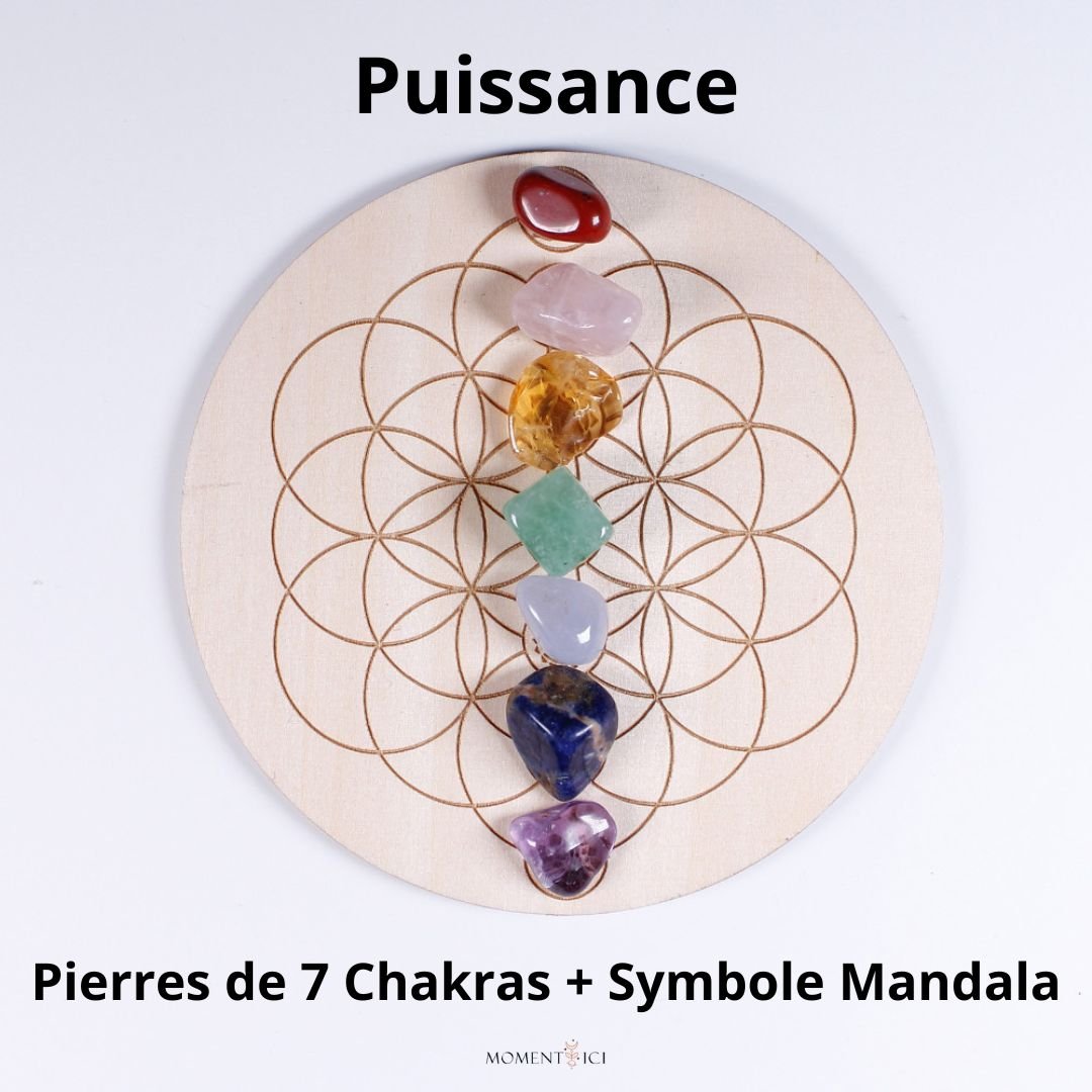 Plateau 7 Chakras en Pierres Naturelles 8 Modèles - Biloria