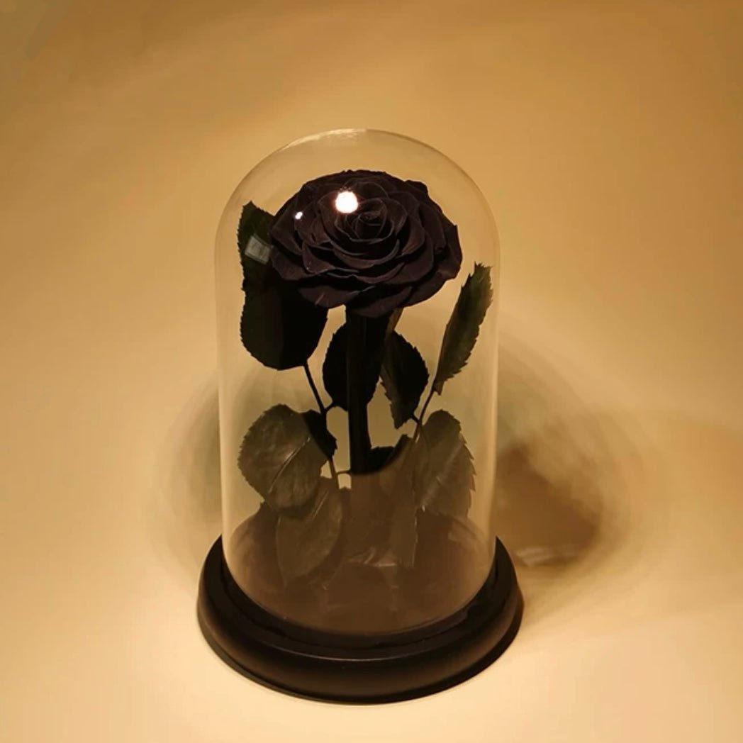 Rose Éternelle Sous Cloche pour un Amour Infini - Biloria
