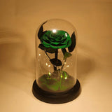 Rose Éternelle Sous Cloche pour un Amour Infini - Biloria