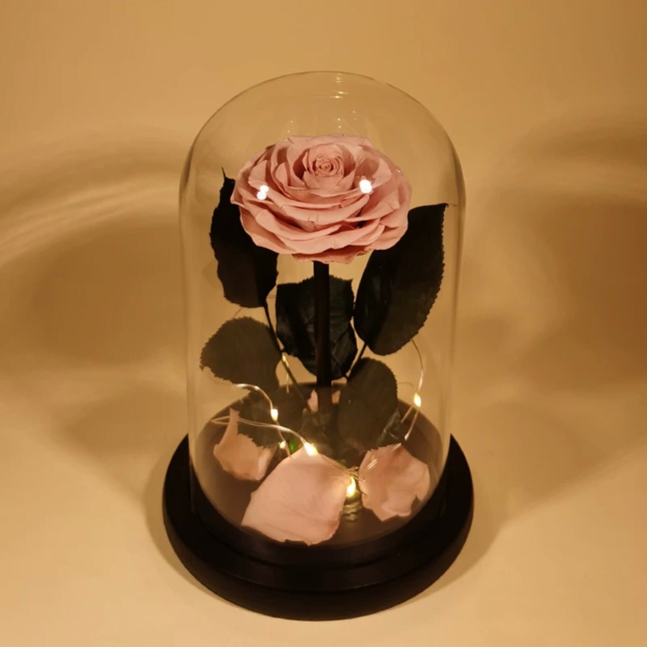 Rose Éternelle Sous Cloche pour un Amour Infini - Biloria
