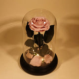 Rose Éternelle Sous Cloche pour un Amour Infini - Biloria