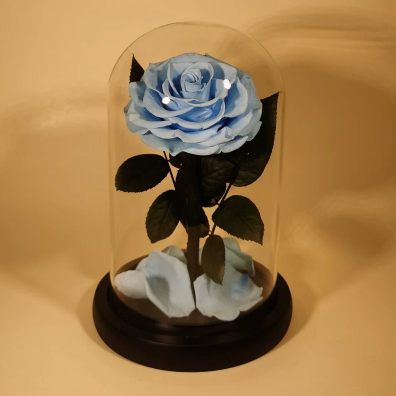 Rose Éternelle Sous Cloche pour un Amour Infini - Biloria