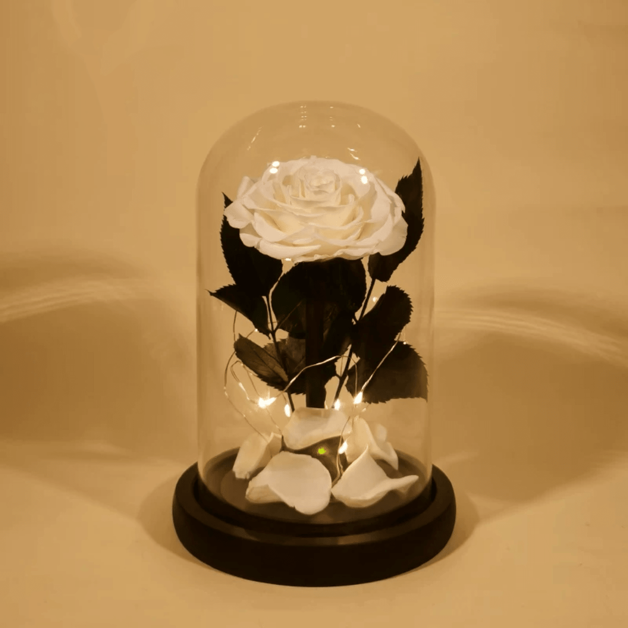 Rose Éternelle Sous Cloche pour un Amour Infini - Biloria