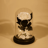 Rose Éternelle Sous Cloche pour un Amour Infini - Biloria