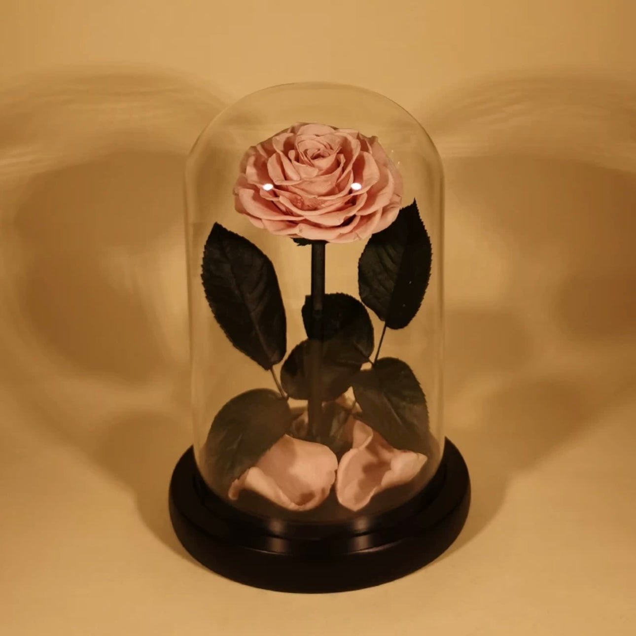 Rose Éternelle Sous Cloche pour un Amour Infini - Biloria