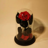 Rose Éternelle Sous Cloche pour un Amour Infini - Biloria
