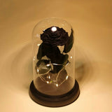 Rose Éternelle Sous Cloche pour un Amour Infini - Biloria