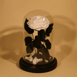 Rose Éternelle Sous Cloche pour un Amour Infini - Biloria